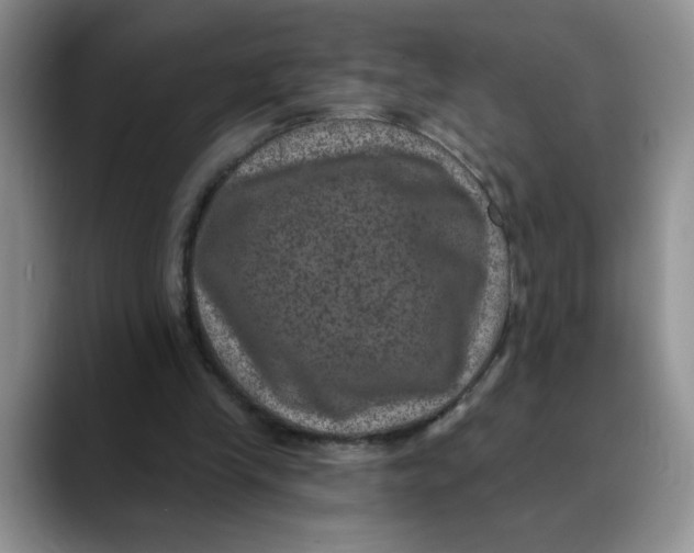 X0000088430245200706121456