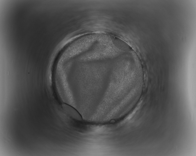 X0000088430246200706121456