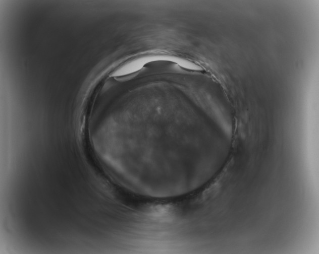 X0000088430247200706121456