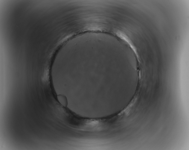 X0000088430249200706121456