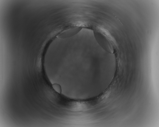 X0000088430250200706121456