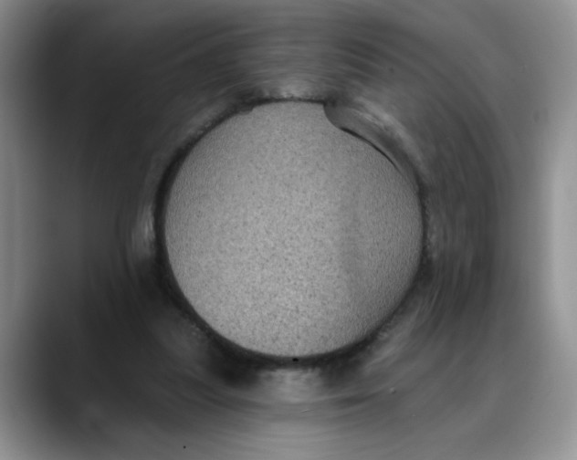 X0000088430251200706121456