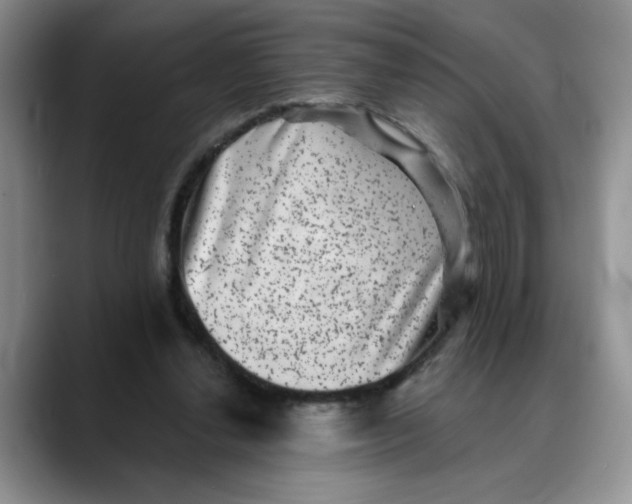 X0000088430252200706121456