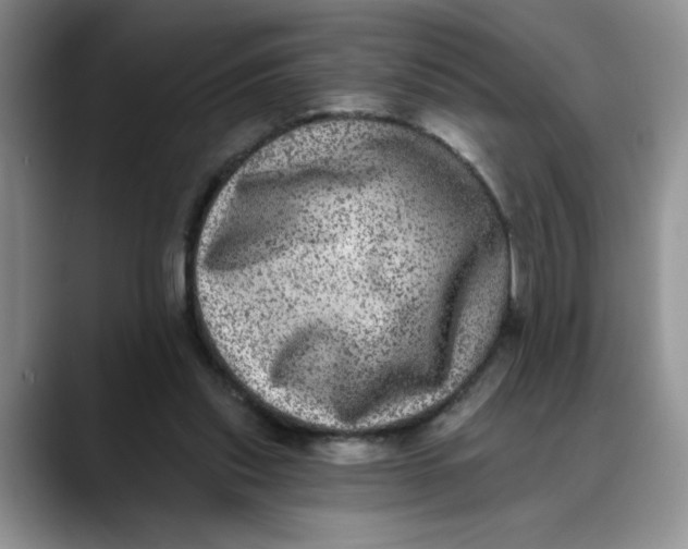 X0000088430253200706121456