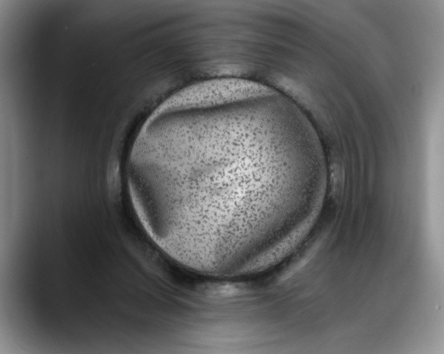 X0000088430254200706121456