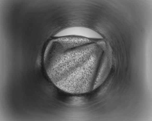 X0000088430255200706121456