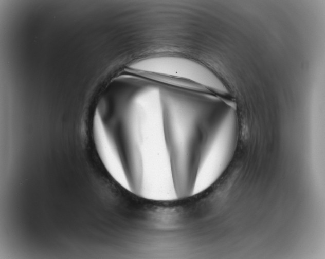 X0000088430256200706121456