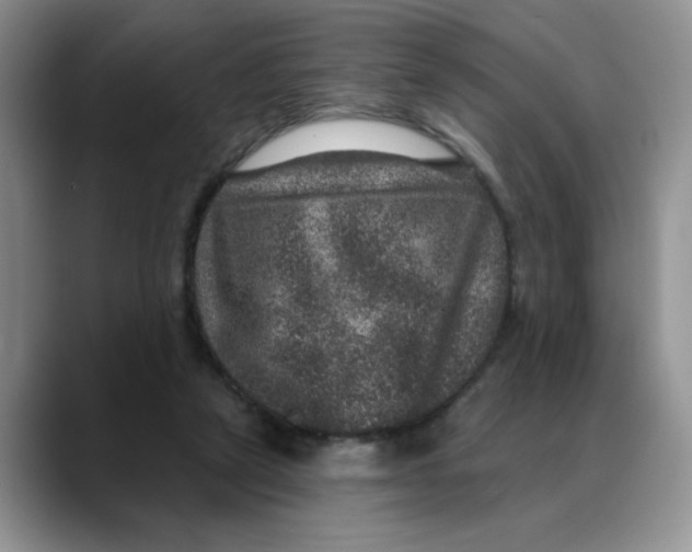 X0000088430257200706121456