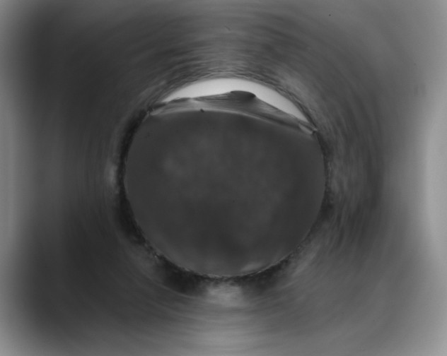 X0000088430258200706121456