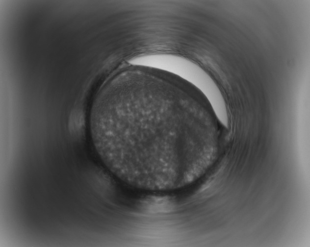 X0000088430260200706121456