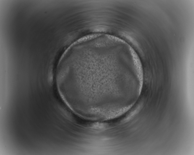 X0000088430261200706121456