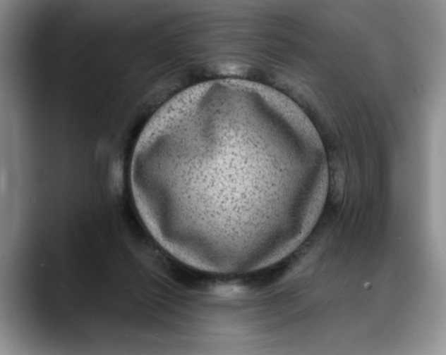 X0000088430262200706121456