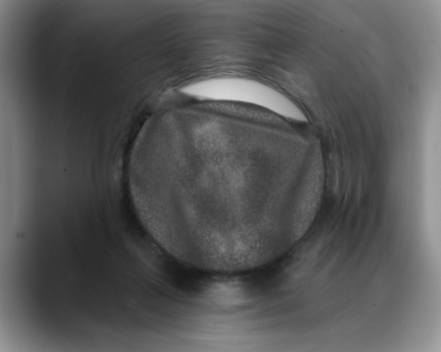 X0000088430263200706121456