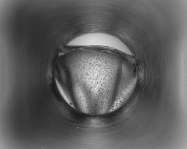 X0000088430264200706121456