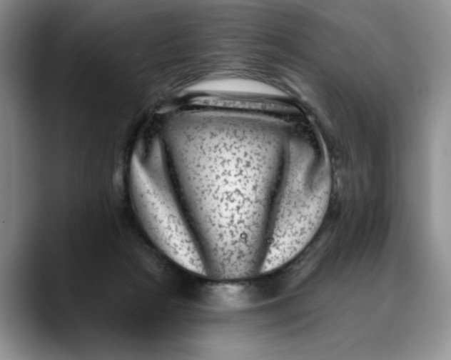 X0000088430265200706121456