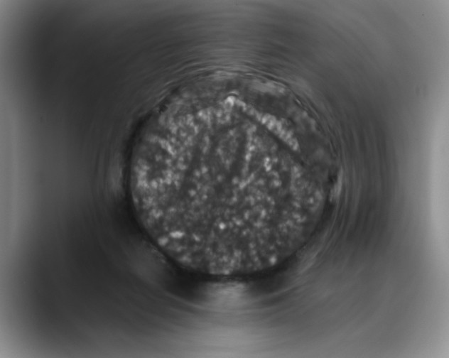 X0000088430266200706121456