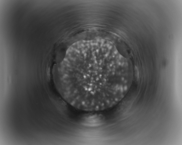 X0000088430267200706121456