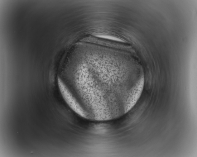 X0000088430268200706121456