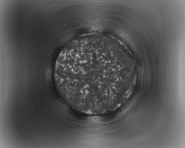 X0000088430269200706121456