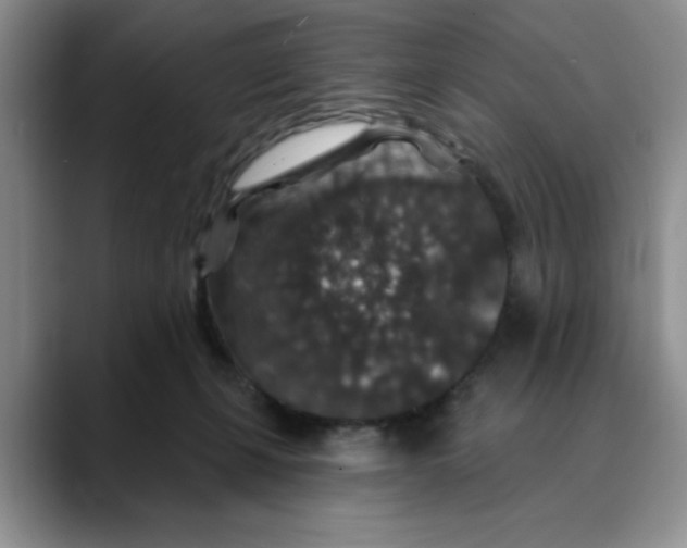 X0000088430271200706121456