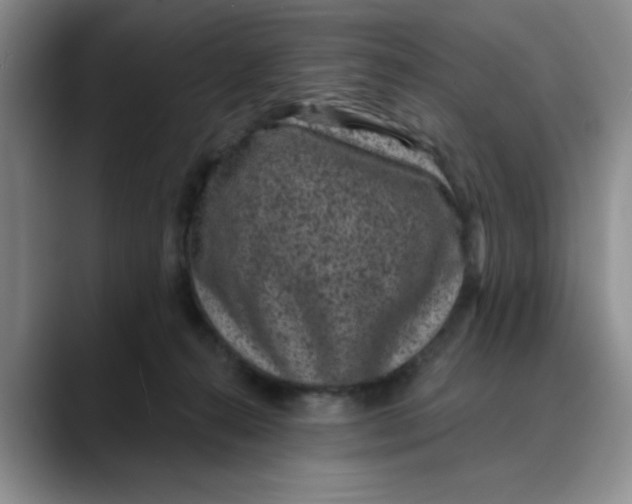 X0000088430272200706121456