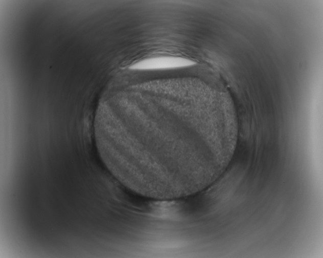 X0000088430273200706121456