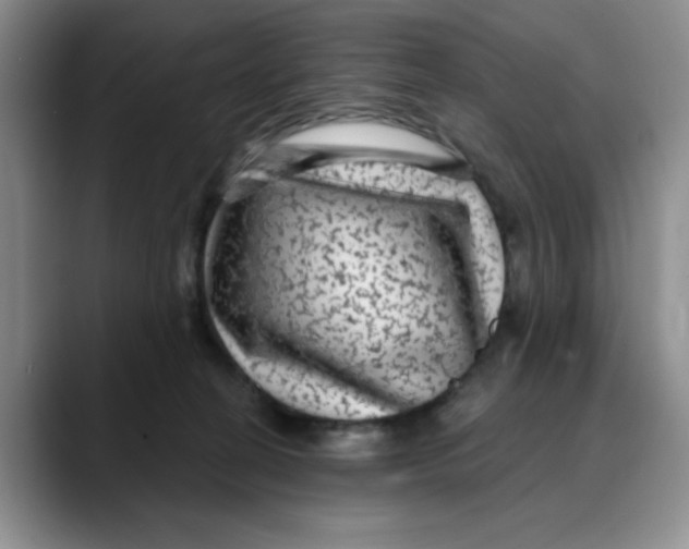 X0000088430274200706121456