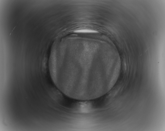 X0000088430275200706121456