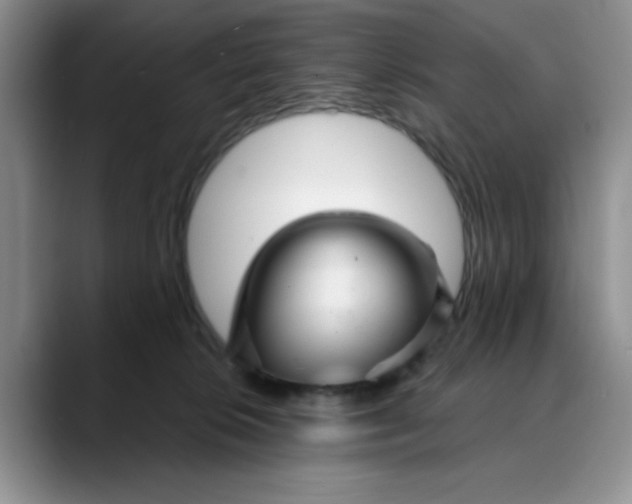 X0000088430276200706121456