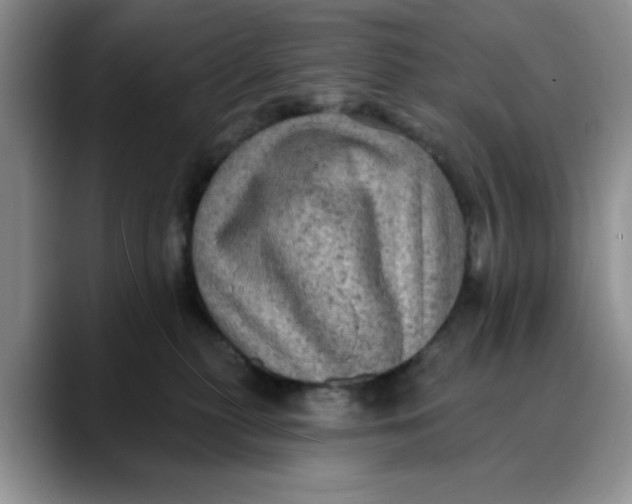 X0000088430279200706121456