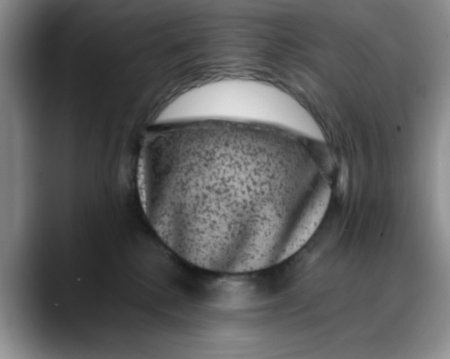 X0000088430280200706121456