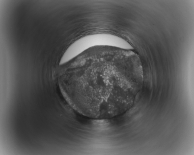 X0000088430281200706121456