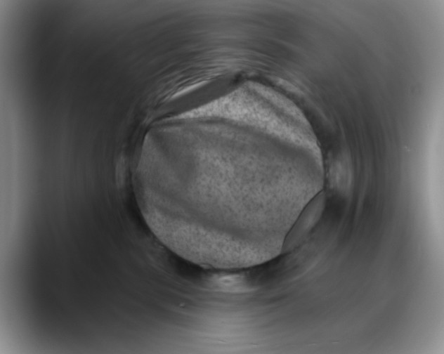 X0000088430283200706121456