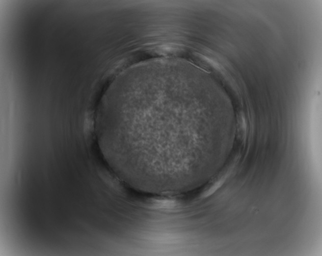 X0000088430284200706121456