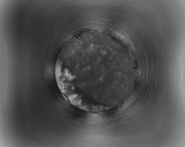 X0000088430285200706121456