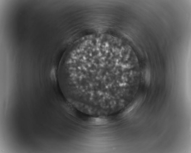 X0000088430286200706121456