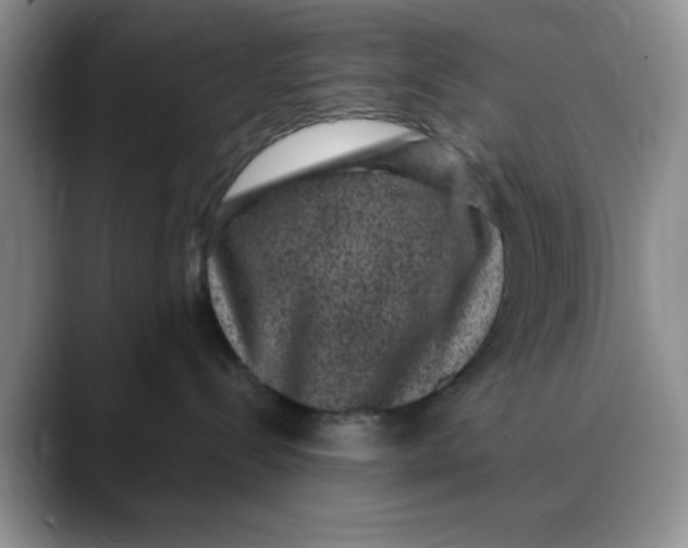 X0000088430288200706121456