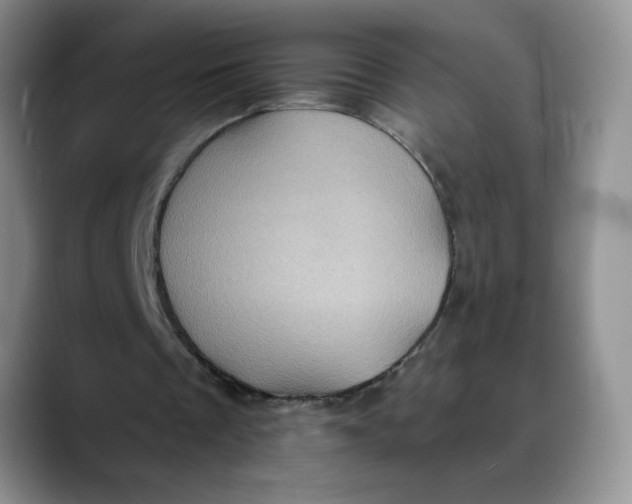 X0000088430289200706121456