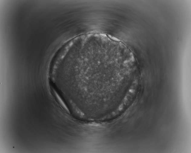 X0000088430290200706121456