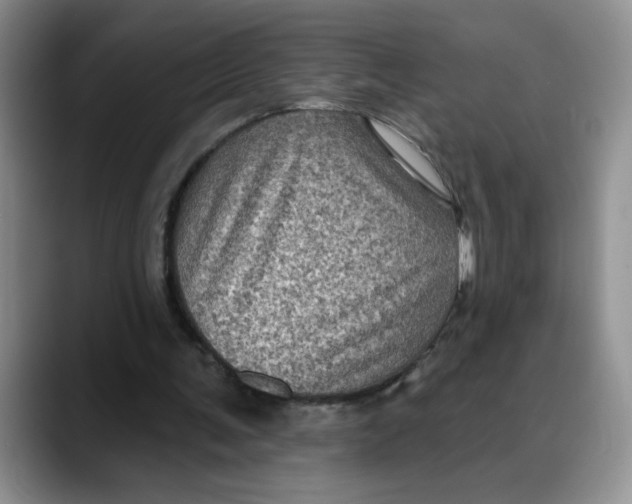 X0000088430291200706121456