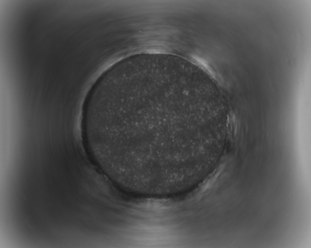 X0000088430292200706121456