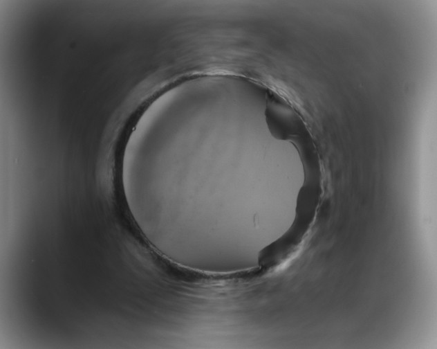 X0000088430295200706121455