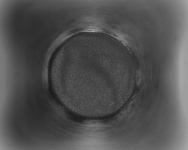 X0000088430296200706121455