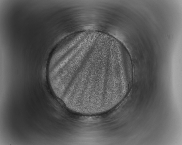 X0000088430297200706121455