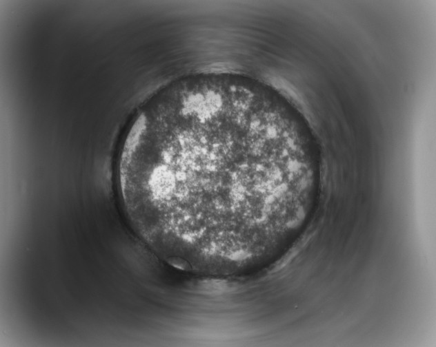 X0000088430298200706121455