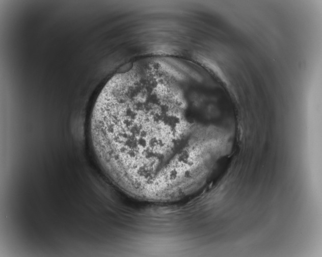 X0000088430299200706121455