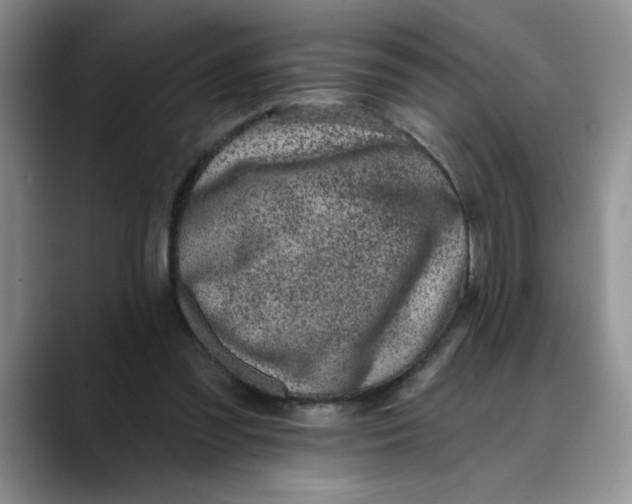 X0000088430301200706121455