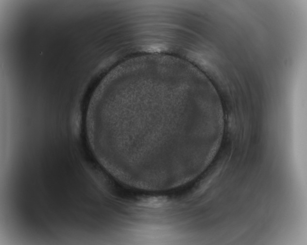 X0000088430304200706121455