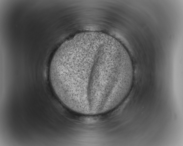 X0000088430305200706121455