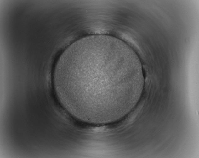 X0000088430306200706121455